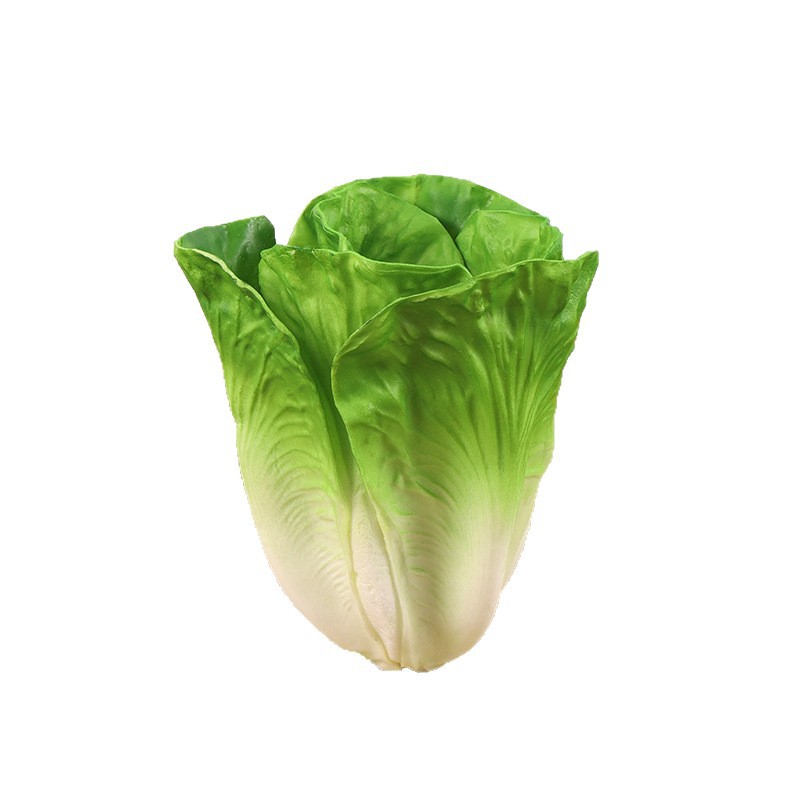 import白底实物图