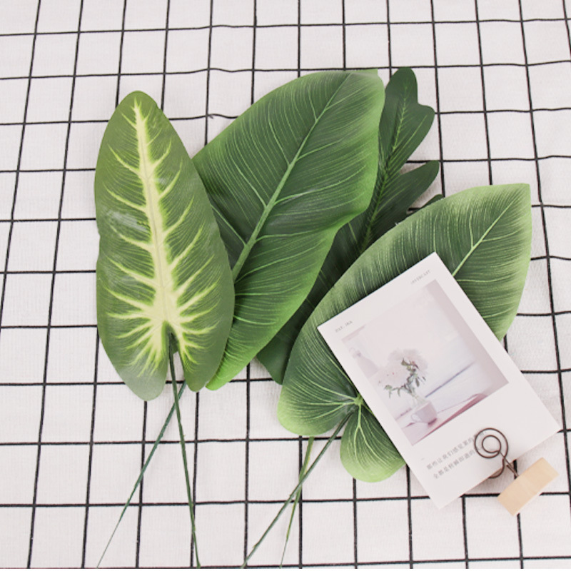 仿真蕨类实物图