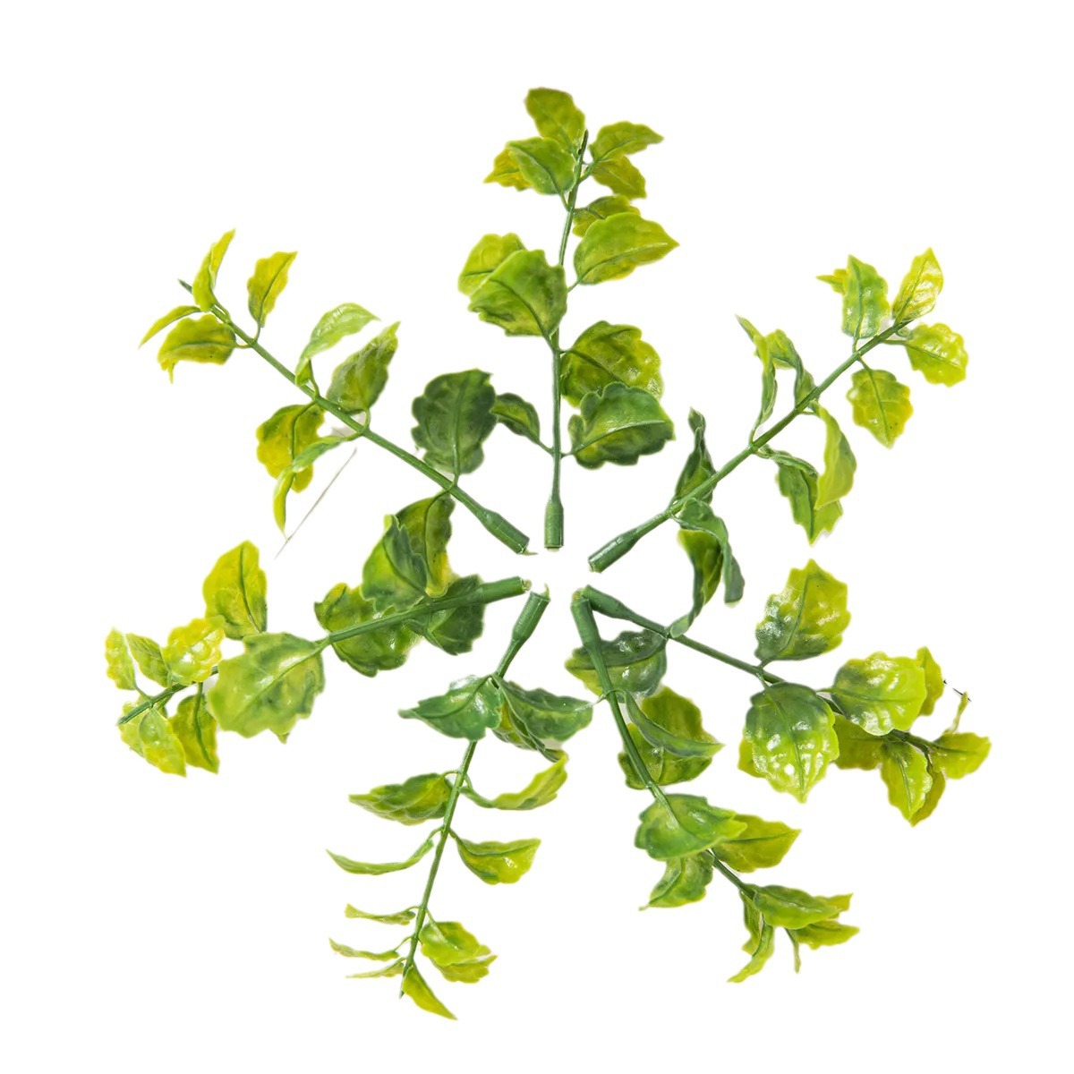 尤加利枝仿真绿植配件田园花枝装饰办公文化园艺蕨类松柏叶批发详情图5