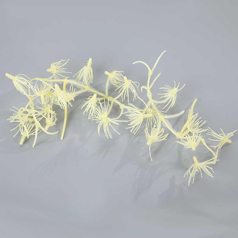 仿真蕨类实物图