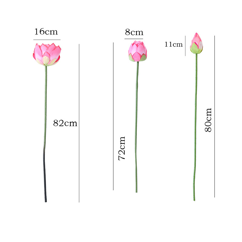 import白底实物图