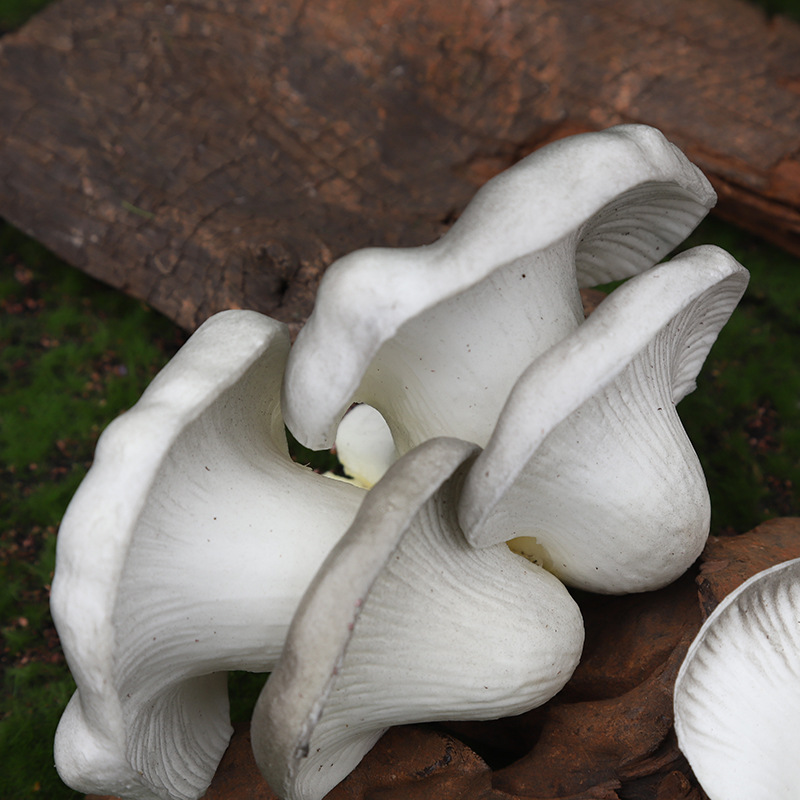 仿真果蔬/食物玩具实物图