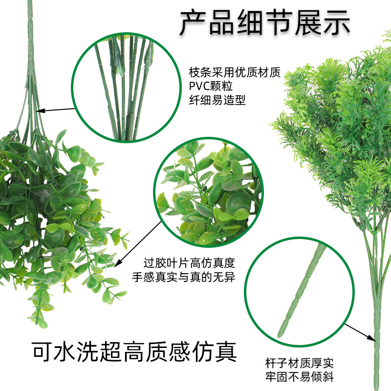 import细节图