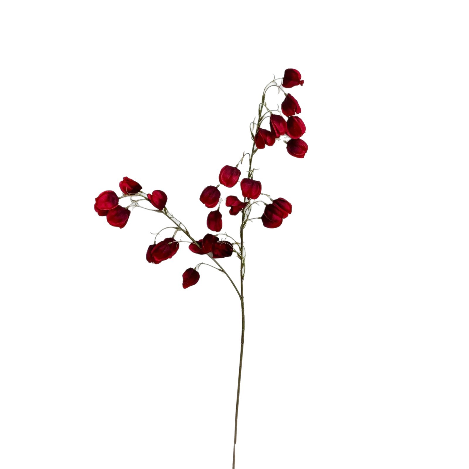 import白底实物图