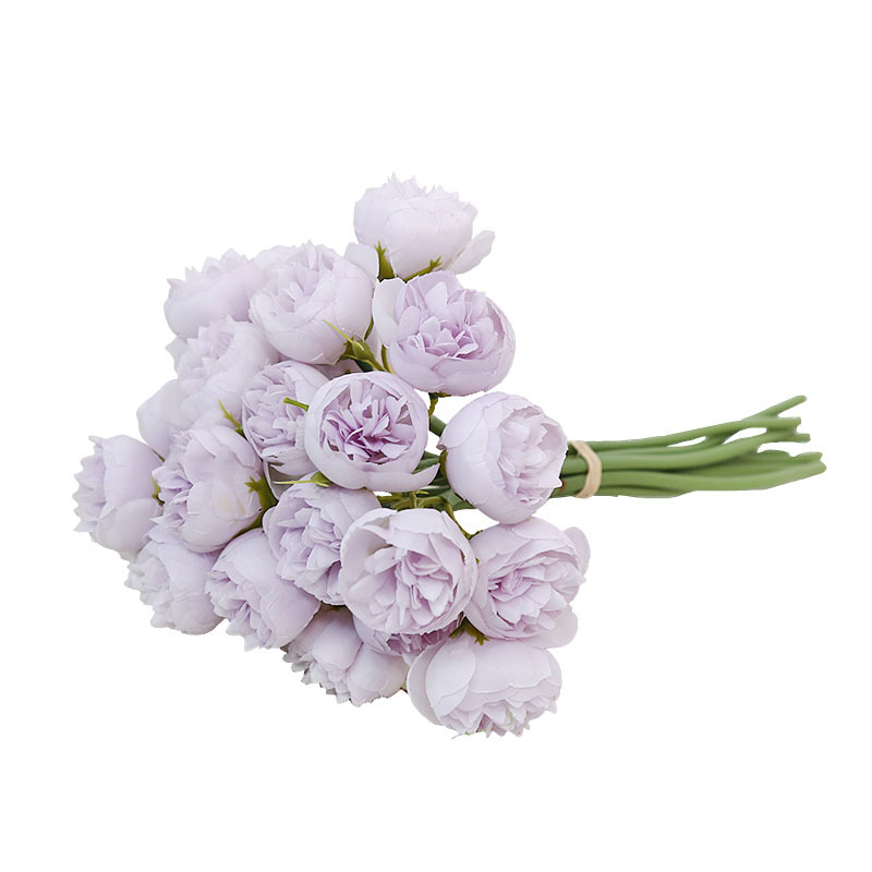 import白底实物图