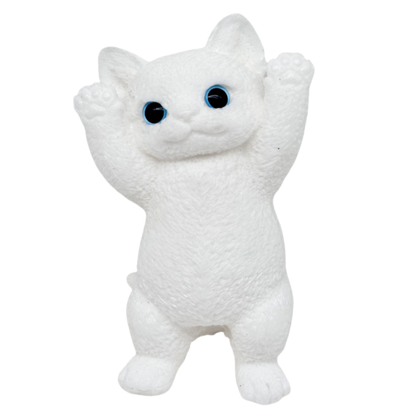 import白底实物图