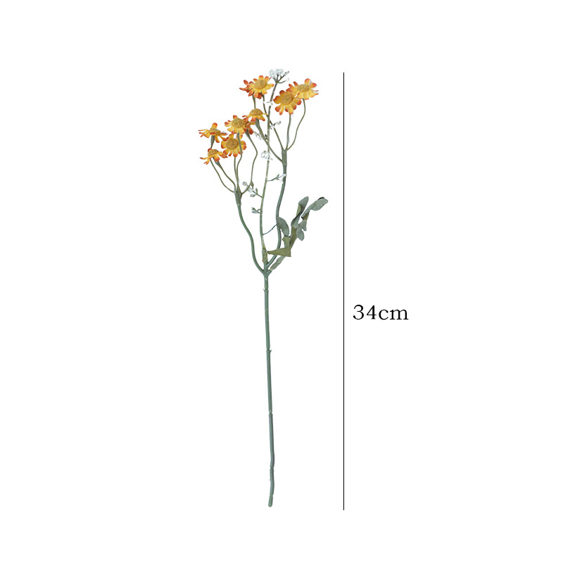 import白底实物图