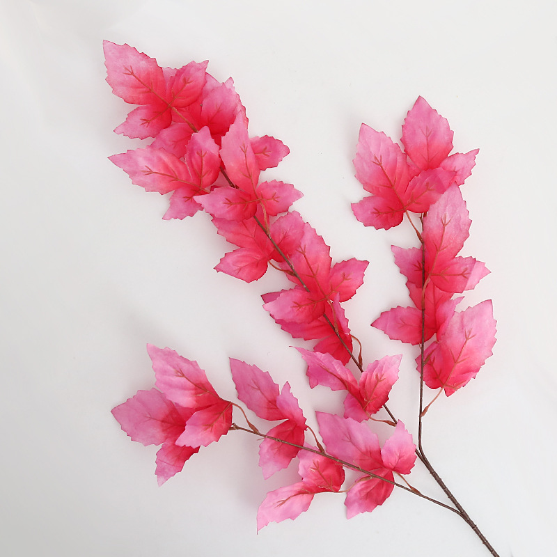 仿真蕨类实物图