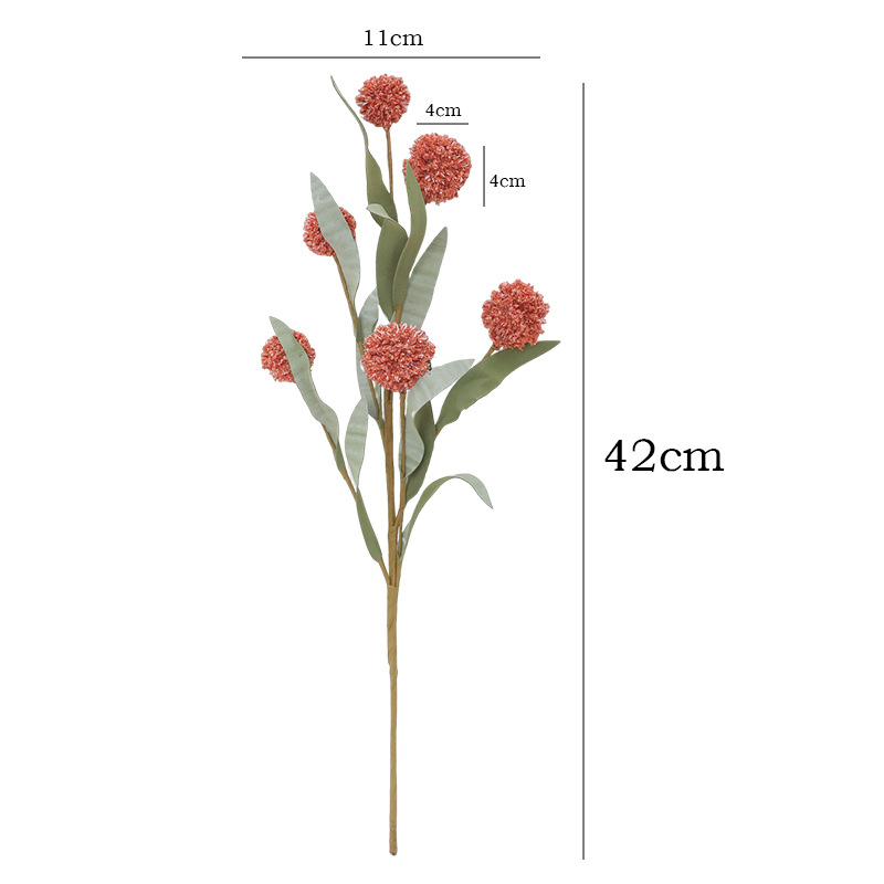 import白底实物图