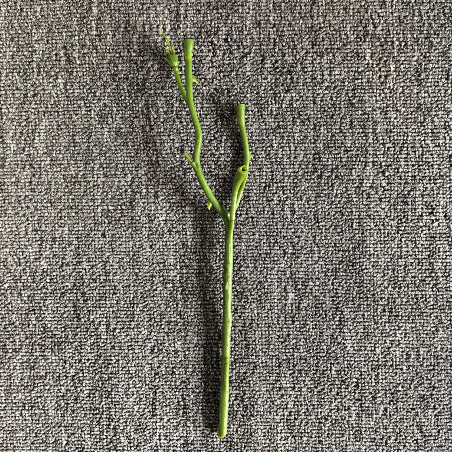 仿真蕨类实物图