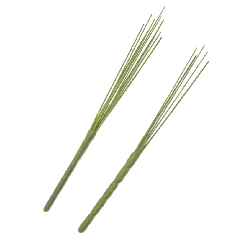 import白底实物图