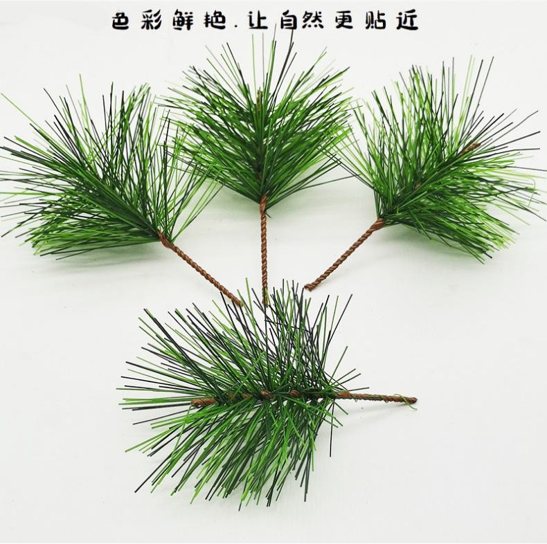 import白底实物图