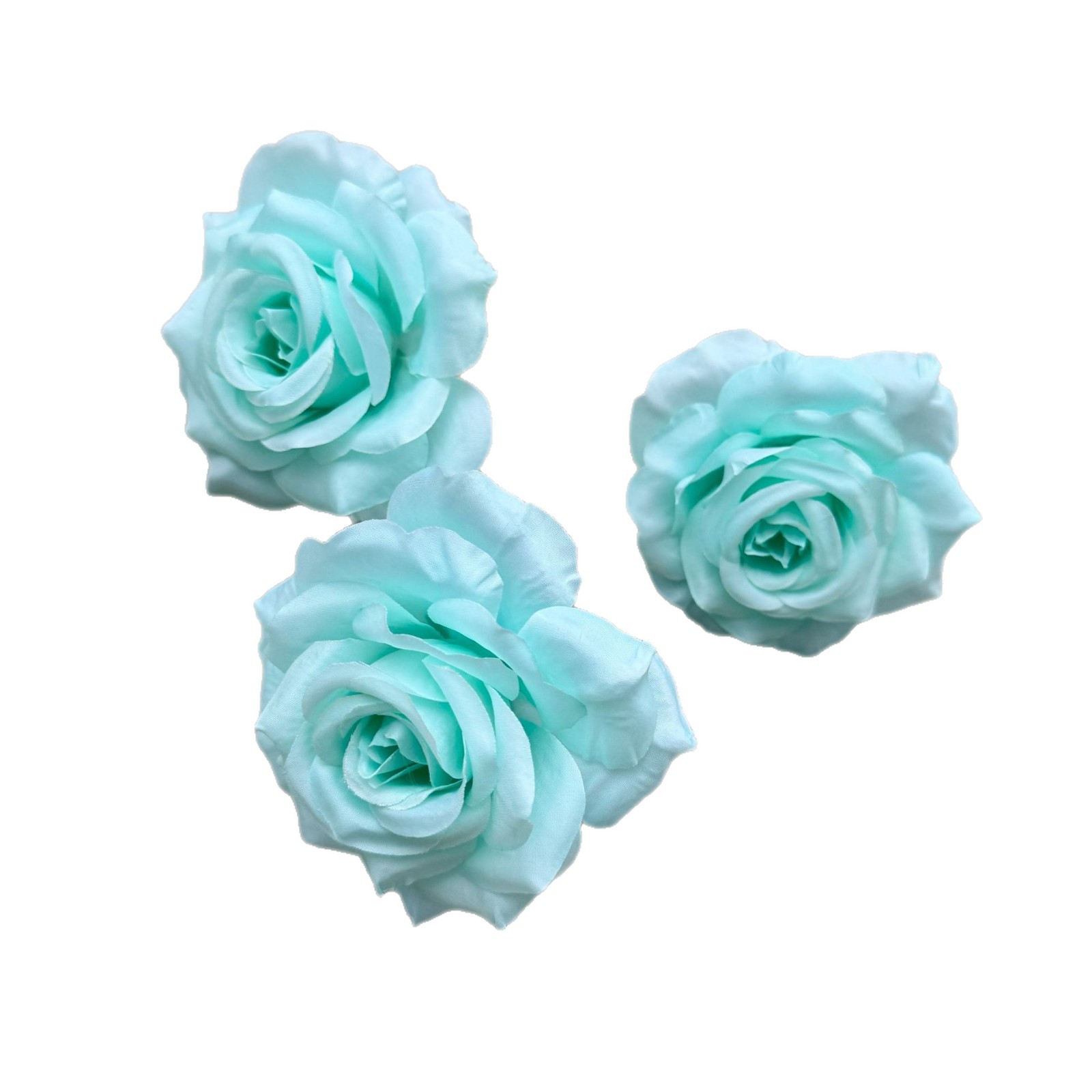 import白底实物图