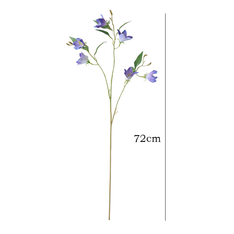 import白底实物图