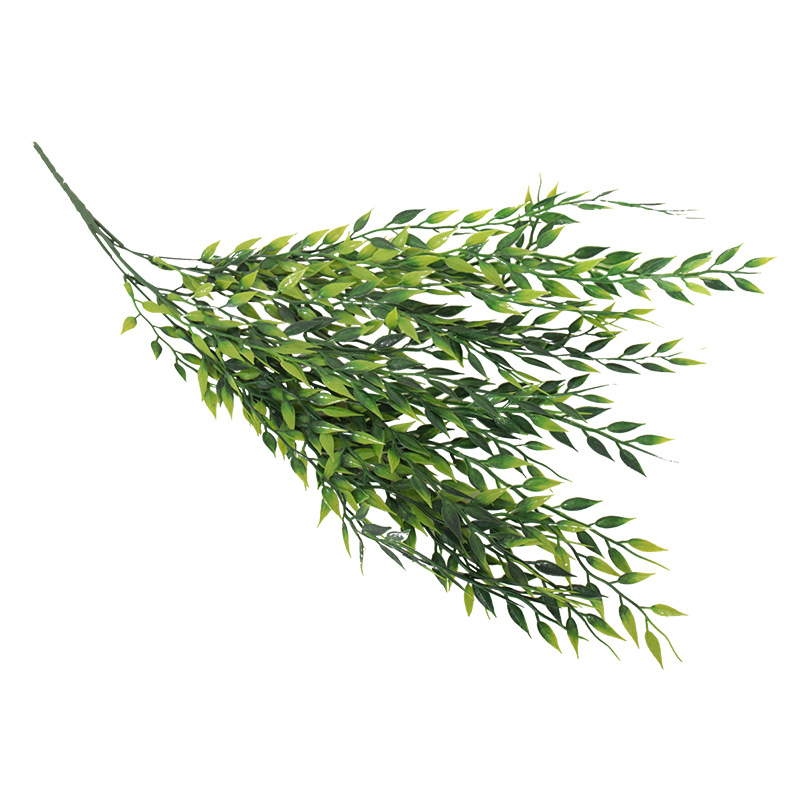 import白底实物图