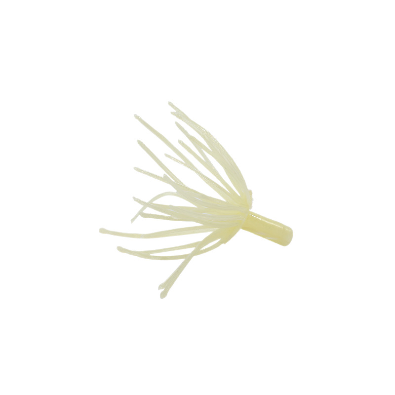 import白底实物图