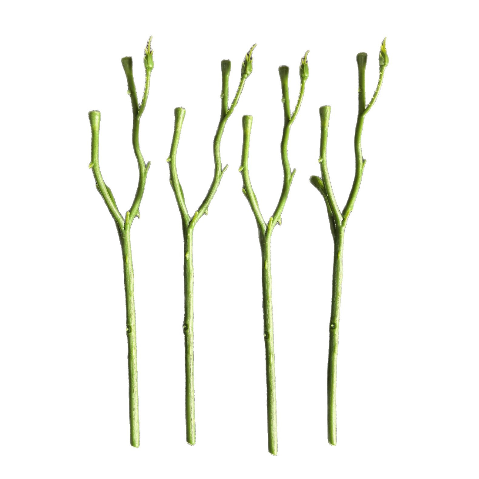 import白底实物图