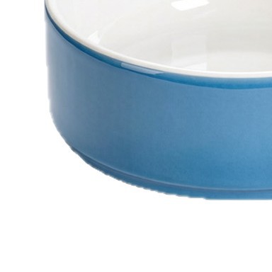 Tazón de arroz al vapor de metamina comercial comida rápida comedor especial creativo plato de frigo tazón de bocadillos durable set de vajilla resistente al calor Application Scenario