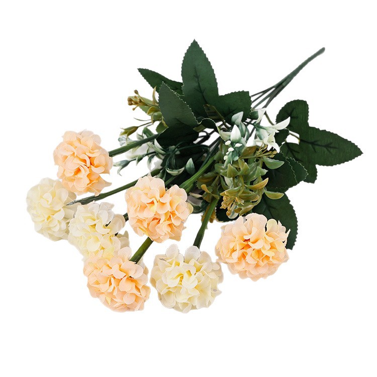 import白底实物图