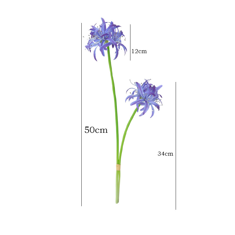 import白底实物图