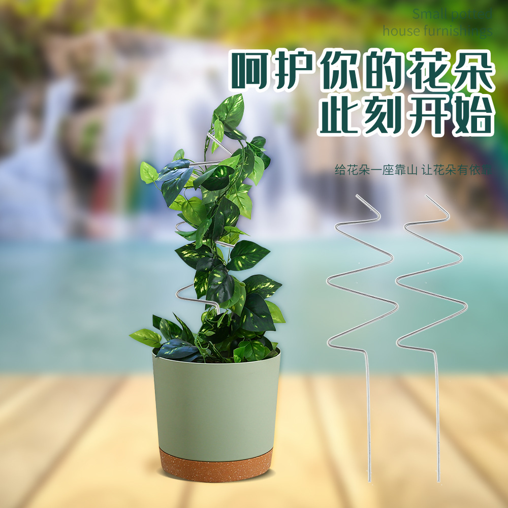 铁艺花架简易稳固室内爬藤支撑园艺