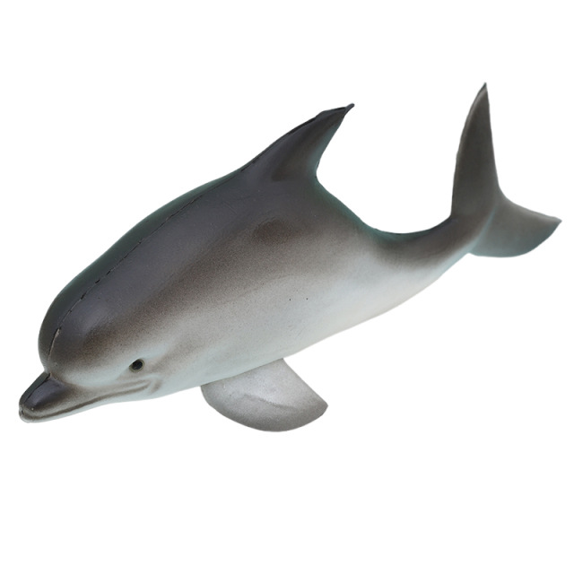 import白底实物图