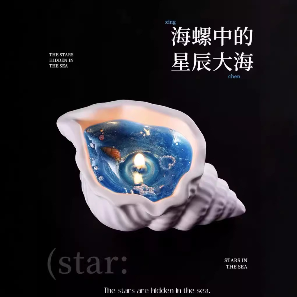 海螺/贝壳/珊瑚实物图