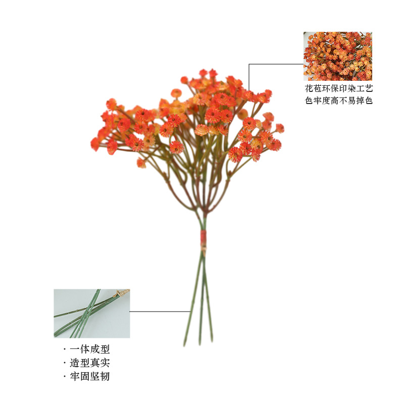 import白底实物图