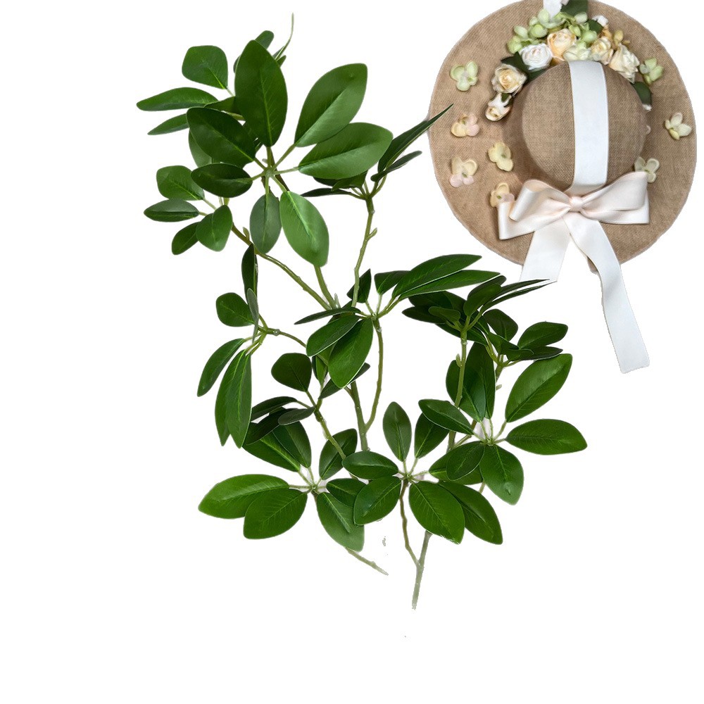 伊斯兰白底实物图