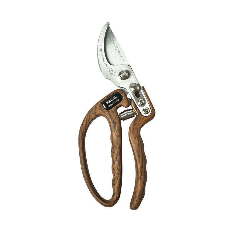 import白底实物图