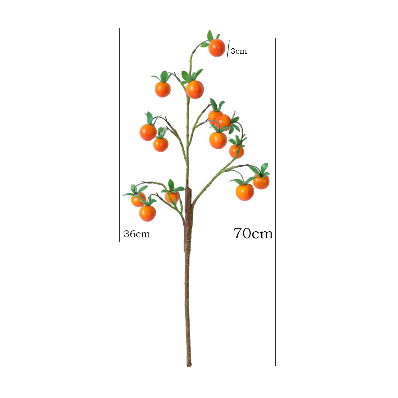 import白底实物图