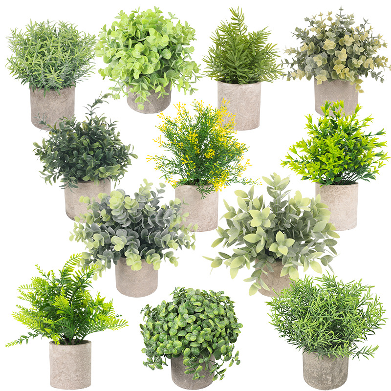 import白底实物图