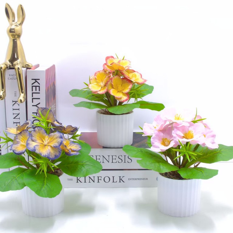 import白底实物图