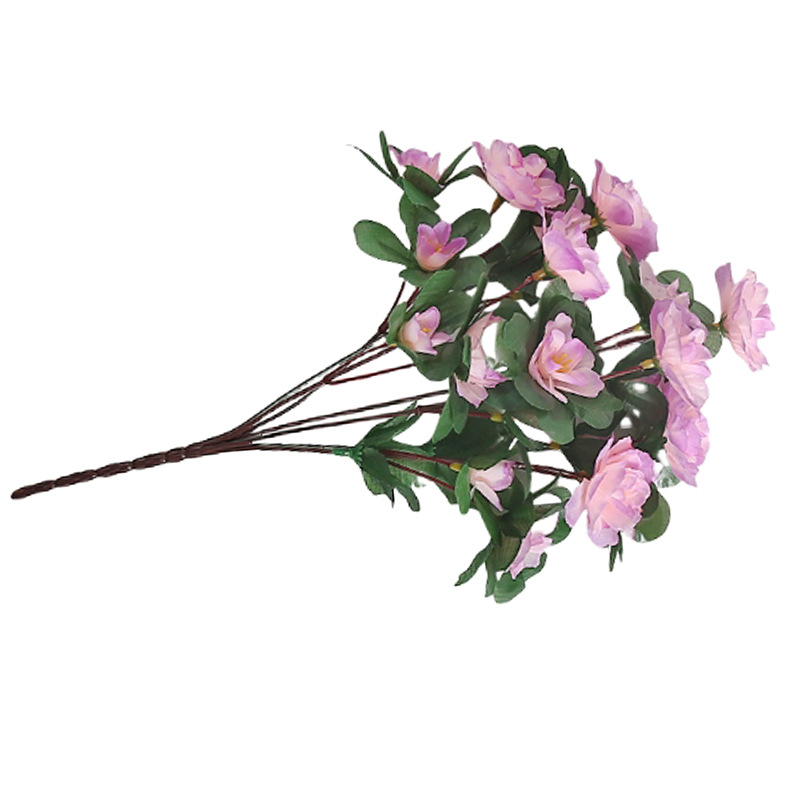 import白底实物图