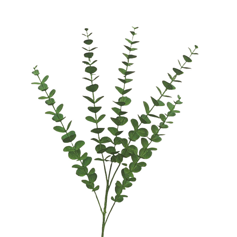 import白底实物图