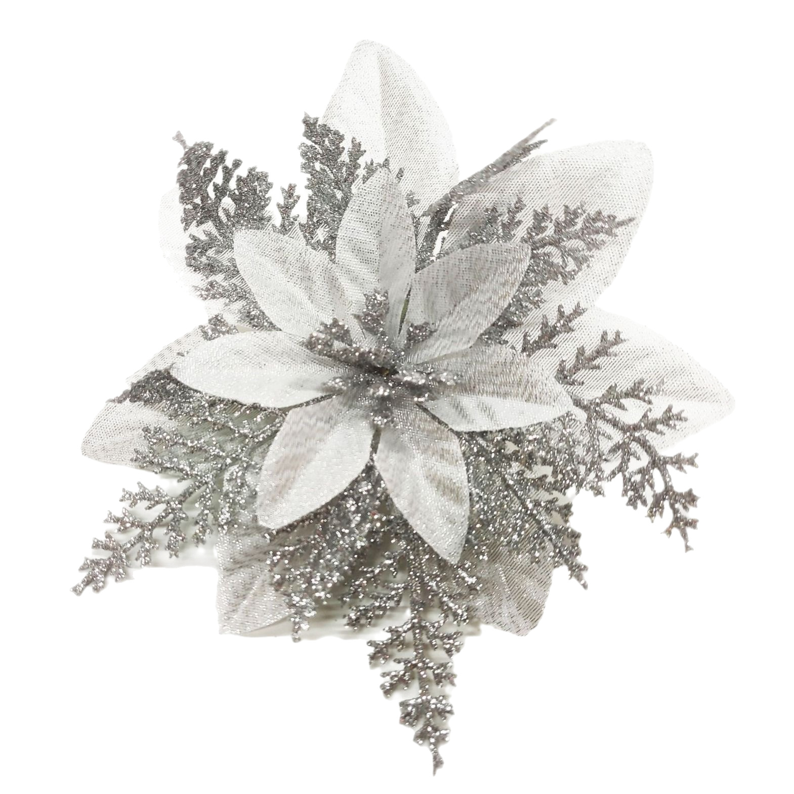 import白底实物图