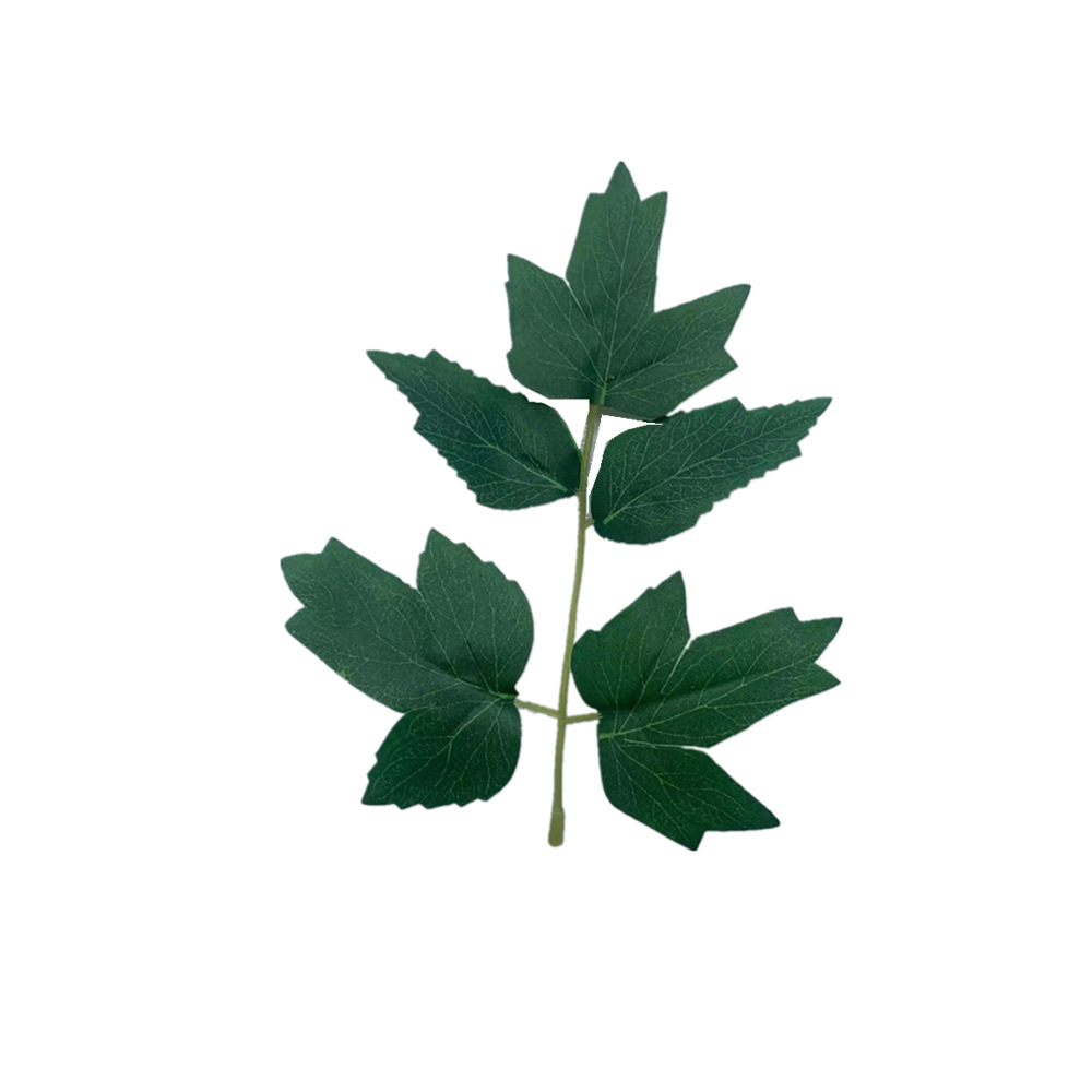 import白底实物图