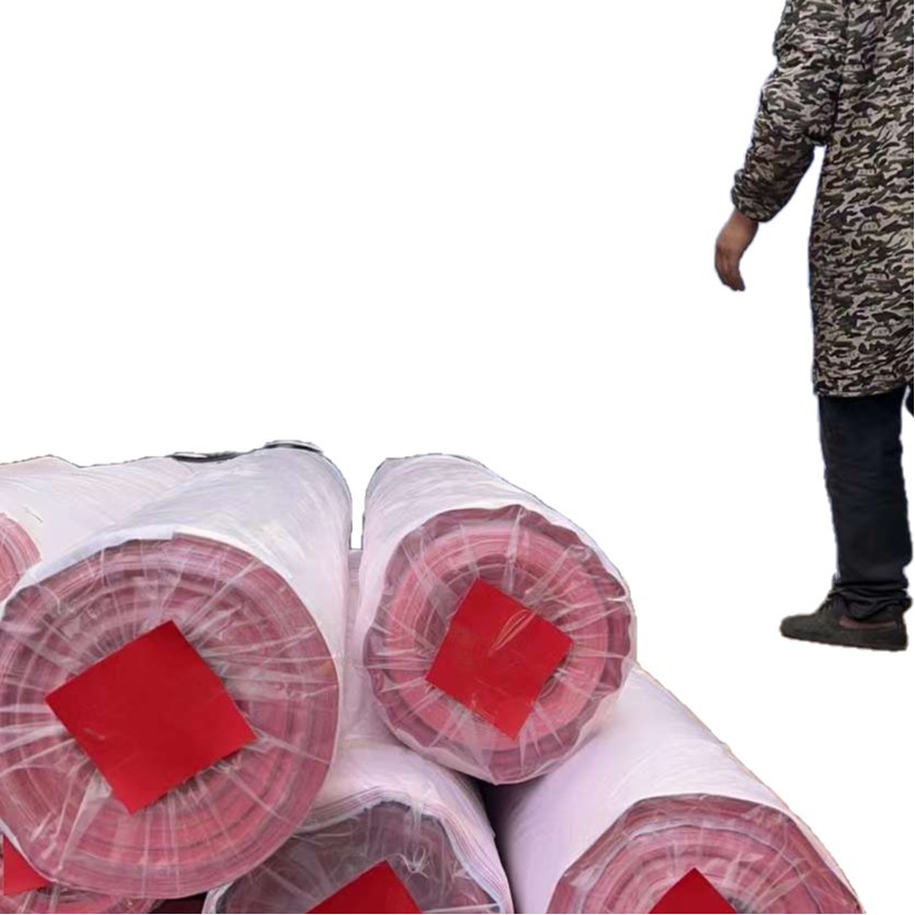 import白底实物图