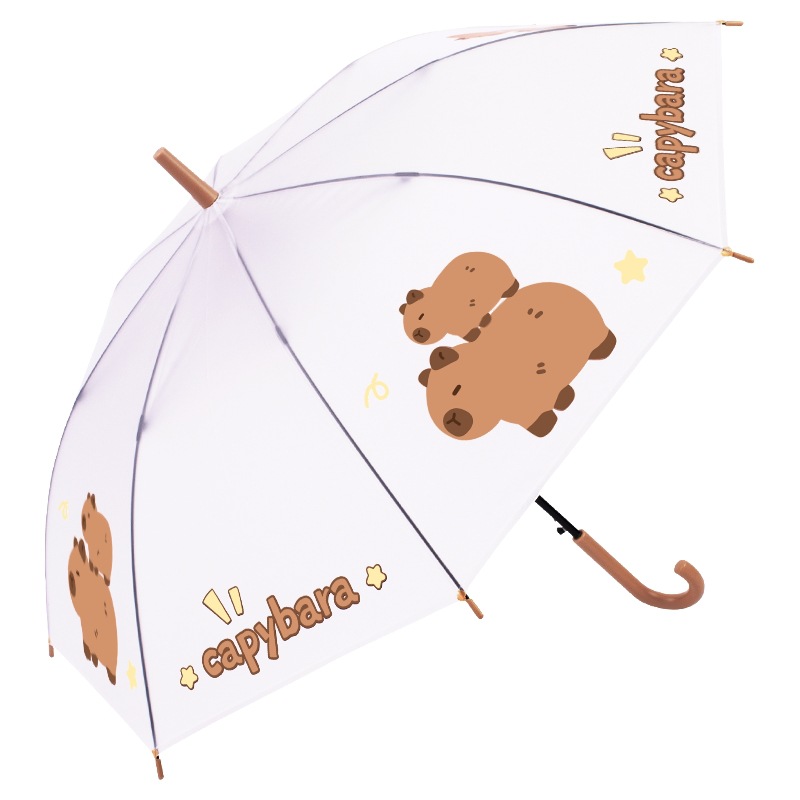 import白底实物图