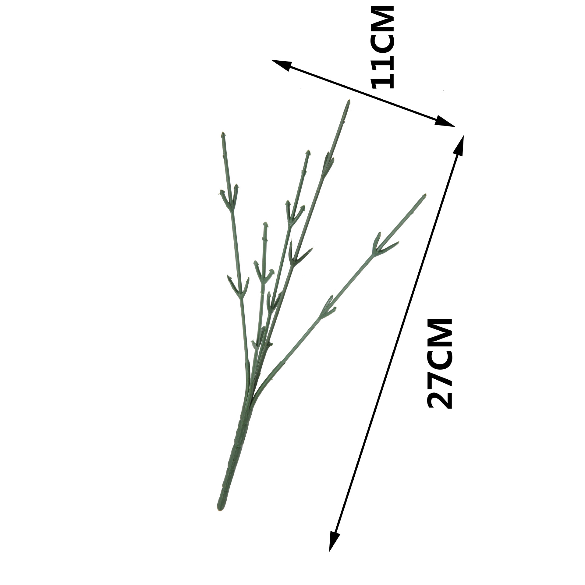 import白底实物图