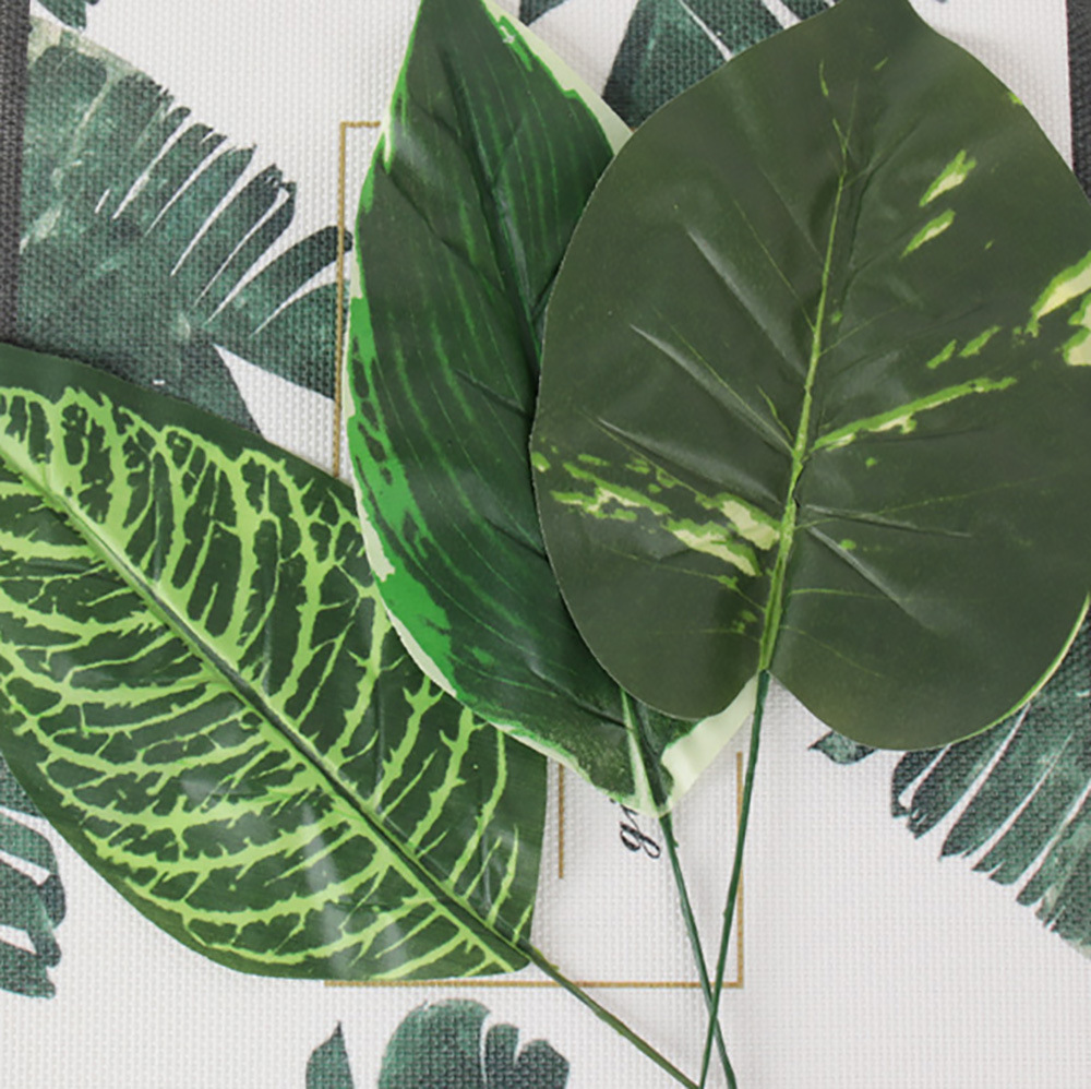 仿真蕨类实物图