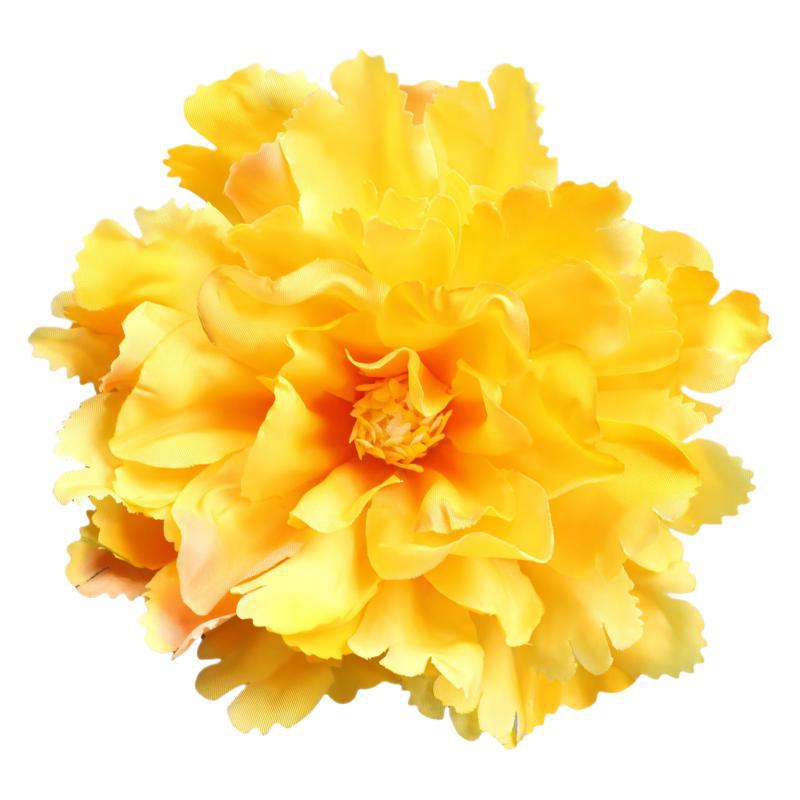 import白底实物图