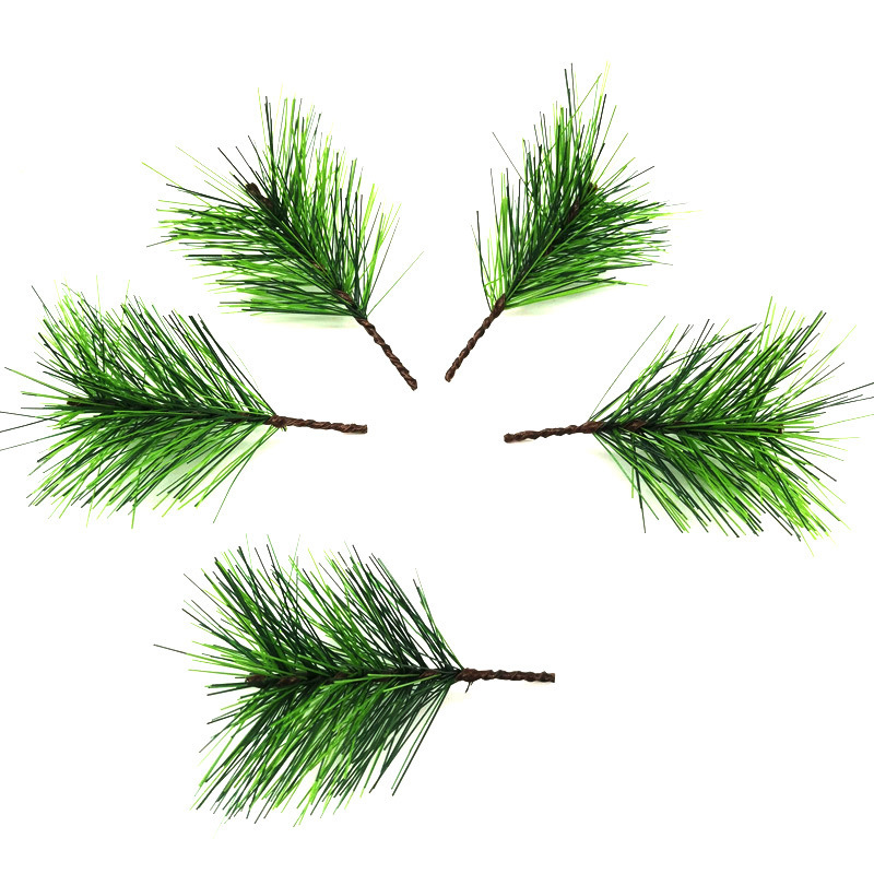 仿真蕨类实物图