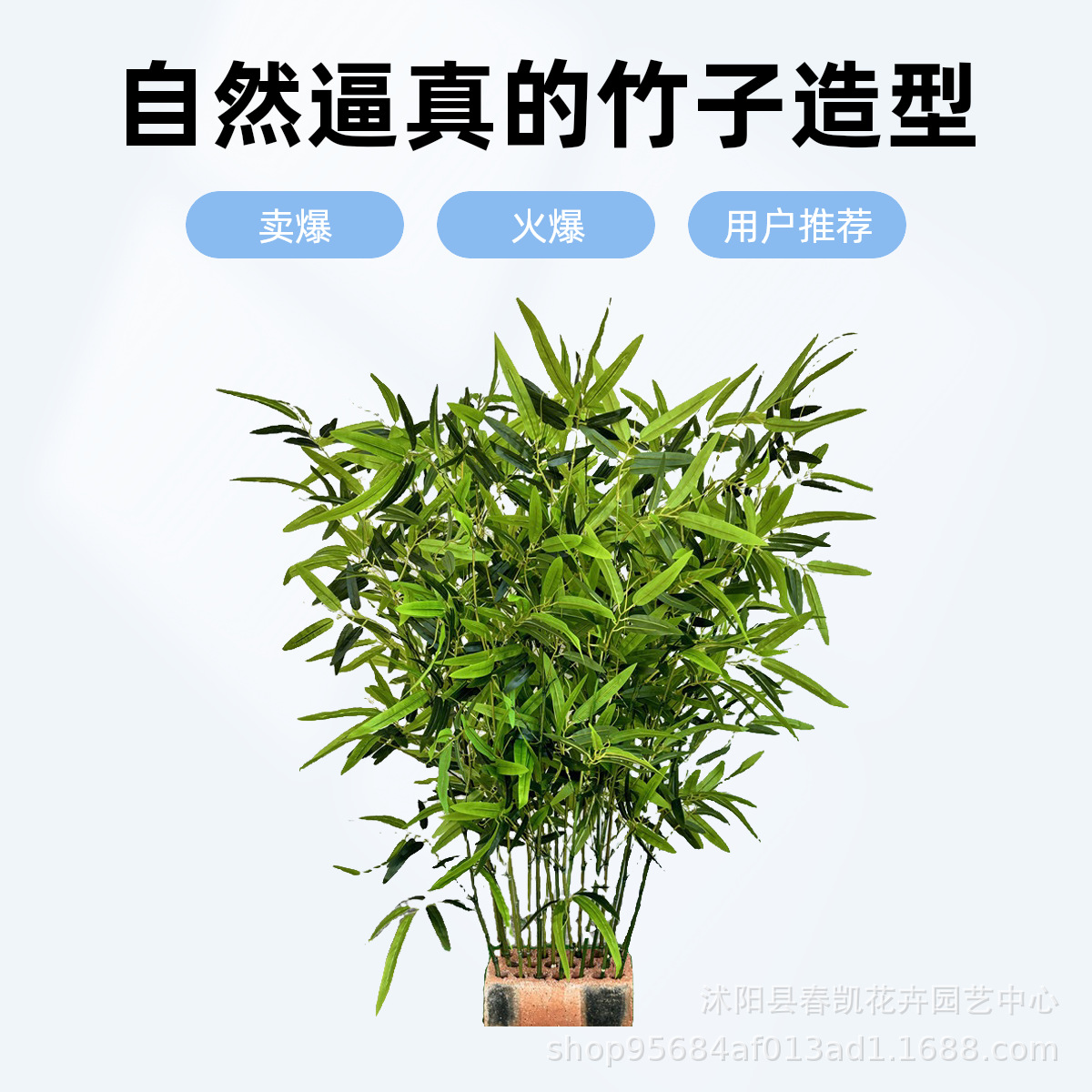 import白底实物图