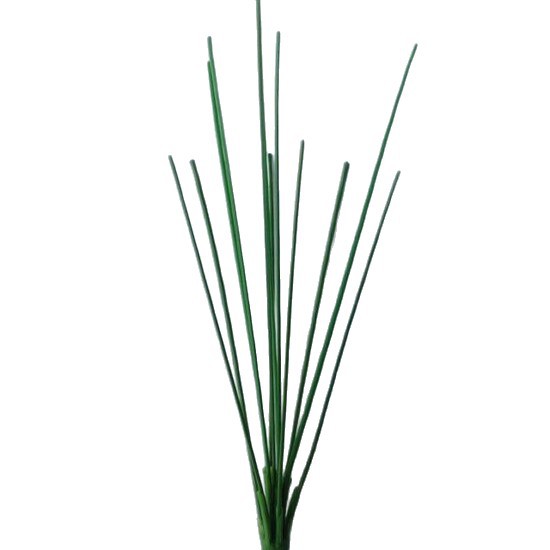 import白底实物图