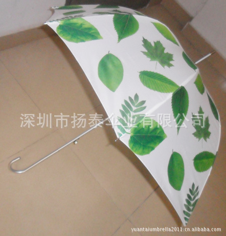自然堂伞1