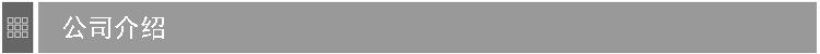 公司介绍