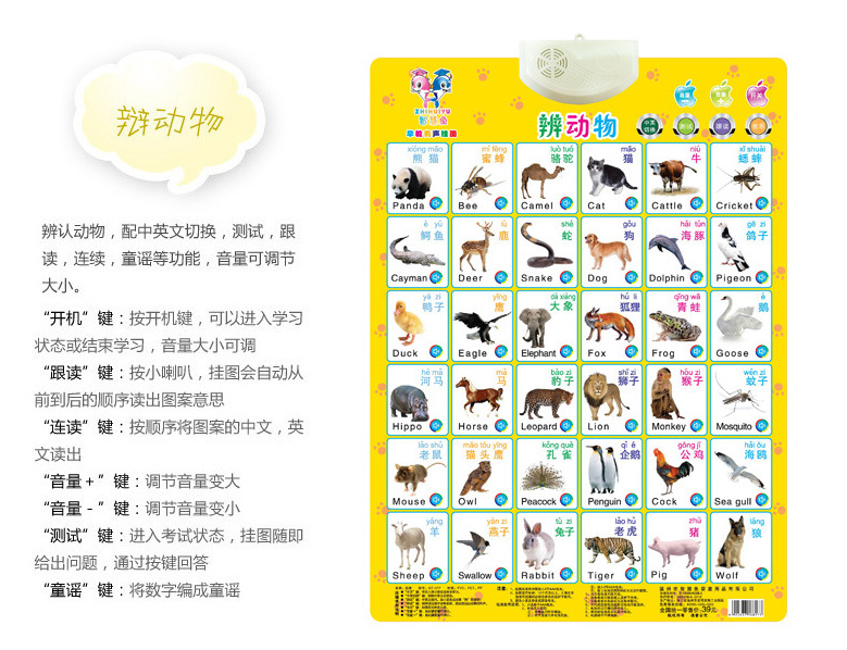 早教有声挂图儿童宝宝电子发声发音学习挂画字母凹凸认知智慧鱼详情16