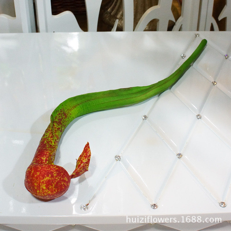 清仓特价仿真花单枝软胶蛇头莲仿真花假花批发家居婚庆装饰花国潮详情26