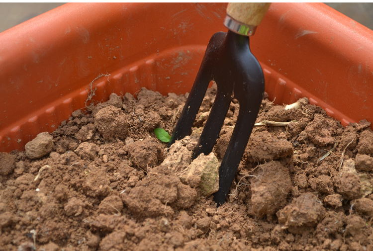 大号园艺工具三件套装园林阳台种菜花盆养花铲子耙子三齿叉铁质详情9